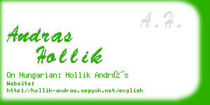 andras hollik business card